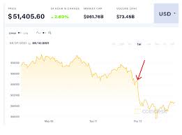Will bitcoin go up in value? Why Tesla S Reversal Is Good For Bitcoin Coindesk