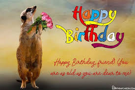 It is the day when a person prefers to celebrate with loved ones by feasting, drinking, hanging out at the cool place, doing crazy shits, getting birthday. Create Funny Birthday Greeting Cards With Wishes