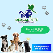 veterinaria Medical Pet