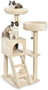 They also offer replacement parts for all of their trees. Best Cat Tree For Large Cats 15 Cat Towers For Big Cats Reviews
