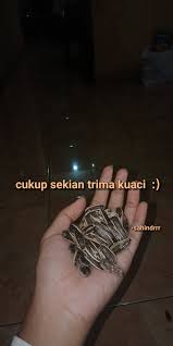 Pin Di Bicitin
