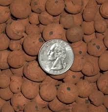 Check spelling or type a new query. Organic Expanded Clay Pebbles Grow Media For Orchids Hydroponics Aquaponics Aquaculture Garden 2 Lb Cz Expanded Clay Pellets Kush And Kind