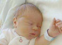 FOTOGALERIE: Právě jsme se narodili