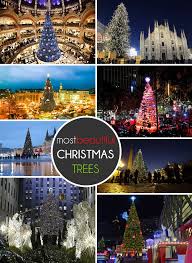 We did not find results for: Decoist Com The 20 Most Beautiful Christmas Trees In The World