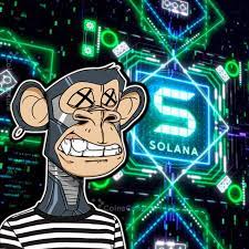 News Bored Apes And Pudgy Penguins Are Spreading Quickly On Solana In 2021 Pudgy Apes Penguins