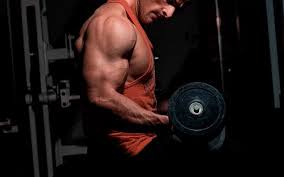 We did not find results for: Stacked With Other Steroids Winstrol