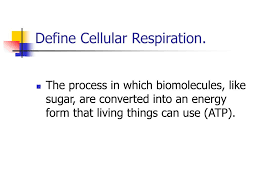 Ppt Define Cellular Respiration Powerpoint Presentation Free Download Id 5626510