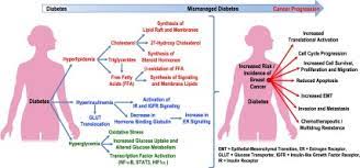 There are more than 275,000 breast cancer diagnoses in the united states each year. Challenges And Perspectives In The Treatment Of Diabetes Associated Breast Cancer Sciencedirect