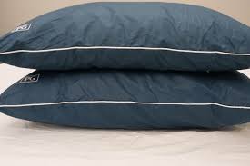 The alternative pillow guy down pillow is available to gentlemen who can step up their bedding. Pillow Guy Down Alternative Pillow Review 2021 Sleepopolis