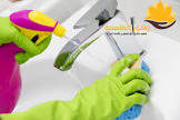 زهور العاصمه