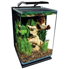 The Marineland 5 Gallon Portrait Kis Is A Five Gallon Curved Glass Aquarium Is Easy To Assemble Beautifully Desi Glass Fish Tanks Aquarium Kit Betta Fish Tank