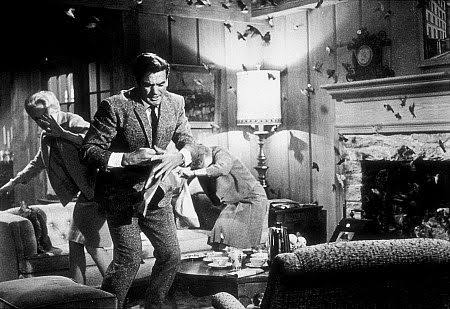 The Birds (1963) - IMDb