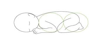 Human Anatomy Fundamentals Drawing Different Ages Baby Drawing Birth Art Drawings