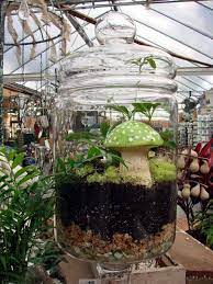 Enclosed Terrarium From Garden Supply Company In Apex They Always Have Great Gifts And Home Ideas Mini Garden Terrarium Centerpiece Terrarium