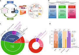 When we hear about some of the the details were recorded on papyrus, documenting eight cases of tumors occurring on the breast. Characterization Of The Genomic Landscape And Actionable Mutations In Chinese Breast Cancers By Clinical Sequencing Nature Communications