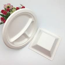 Are paper plates microwave safe. China Microwave And Freezer Safe Sugarcane Bagasse Biodegradable Paper Plate China Biodegradable Party Paper Plate And Disposable Dinnerware Plate Price