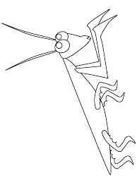Praying mantis coloring page line drawings 1471. Praying Mantis Coloring Page Coloring Home