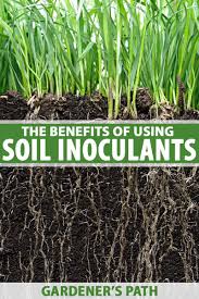 You can add fallen leaves, garden debris, kitchen scraps, and even apples raked from beneath fruit trees to soil. The Benefits Of Applying Soil Inoculants And Microbes In The Garden