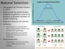 Learn everything an expat should know about managing finances in germany, including bank accounts, paying taxes, getting insurance and investing. Darwinism Natural Selection