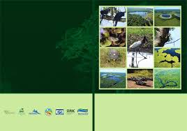 Image result for Rhytachne subgibbosa