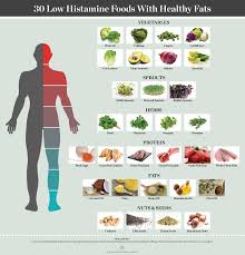 Pin On Low Histamine