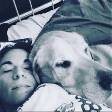 The Pursuit of Normal