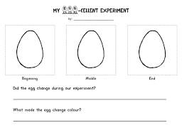 My Egg Cellent Experiment Egg Experiments Experiments Kindergarten Science