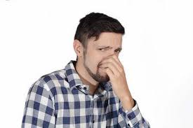 The rancid smell of 'cat urine' and 'eggs' is ruining the summer for some people whose paint has had a bad reaction to the heatwave. How To Remove Pet Urine Odor From Concrete Garage Floors All Garage Floors