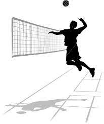 He plays travel ball with the dallas mustangs. Volleyball Tgs Hausen
