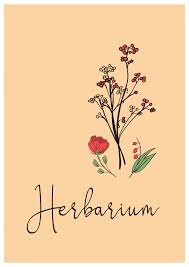 Fritsch, d.h.hoppe, josef (anton) kerner, f. Deckblatt Herbarium 1 Deckblatt Deckblatt Schule Herbarium Vorlage