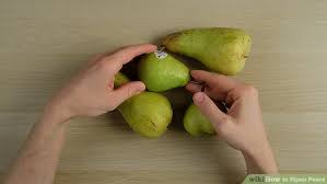 How To Ripen Pears 10 Steps With Pictures Wikihow