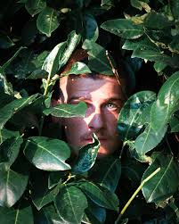 Daniel Boer (@dan.boer) • Instagram photos and videos