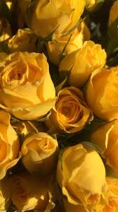 It has recently been upgraded and is a simple, but super customizable theme. Wallpaper Yellow Tumblr