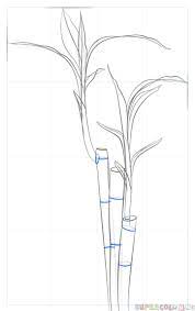Pin On Drawing