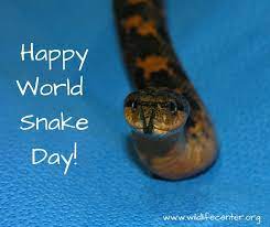 Happy World Snake Day From The Wildlife Center Of Virginia Wildlife Year Of The Snake Snake