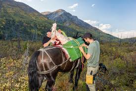 A local minnesota meat processing directory for deer, elk, or other big game. The Best Way To Store Wild Game Meat Gohunt
