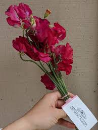 This is the newest place to search, delivering top results from across the web. Seattle Wholesale Growers Market Grower S Bucket Special From The Ground Up Floral