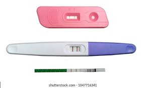 Urine Home Pregnancy Test Hpt Results Stock Photo 1047716341 Shutterstock