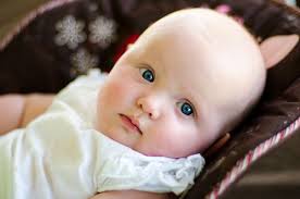 mckenzie hansen photography