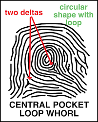 Pin On Csi Lock In