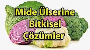 Sagligim Mide Ulseri Icin Bitkisel Cozumler Website Resources