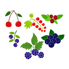 Free Free 327 Home Berries Svg SVG PNG EPS DXF File