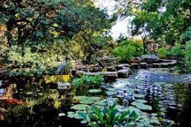 Discover the magic of the internet at imgur, a community powered. Zilker Botanical Garden Nowplayingaustin Com
