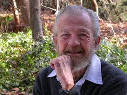 Amazon.com: Dr. Victor Manzo Jr.: books, biography, latest update