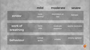 Image result for Croup Score