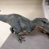 See more of vastatosaurus rex on facebook. 1