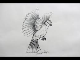 How To Draw A Beautiful Love Bird Step By Step Pencil Sketch Youtube Love Birds Drawing Cool Drawings Drawings