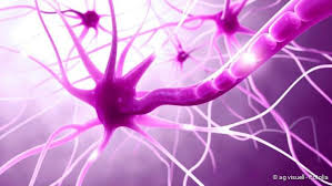 Fibromyalgia affects an estimated 5.8 million americans. Fibromyalgie Symptome Therapie Ursachen Netdoktor