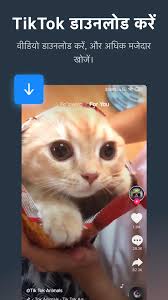 Hi mayur thakor is free fire live kaise le mujhe batao free fire diamonds please. Lulubox For Android Apk Download