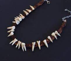 Human Teeth Necklace Goth Choker Dental Jewelry Tooth Fairy Necklace Molar Oddities Faux Taxidermy Halloween Costume Bones Tribal Goth Choker Dental Jewelry Fairy Necklace